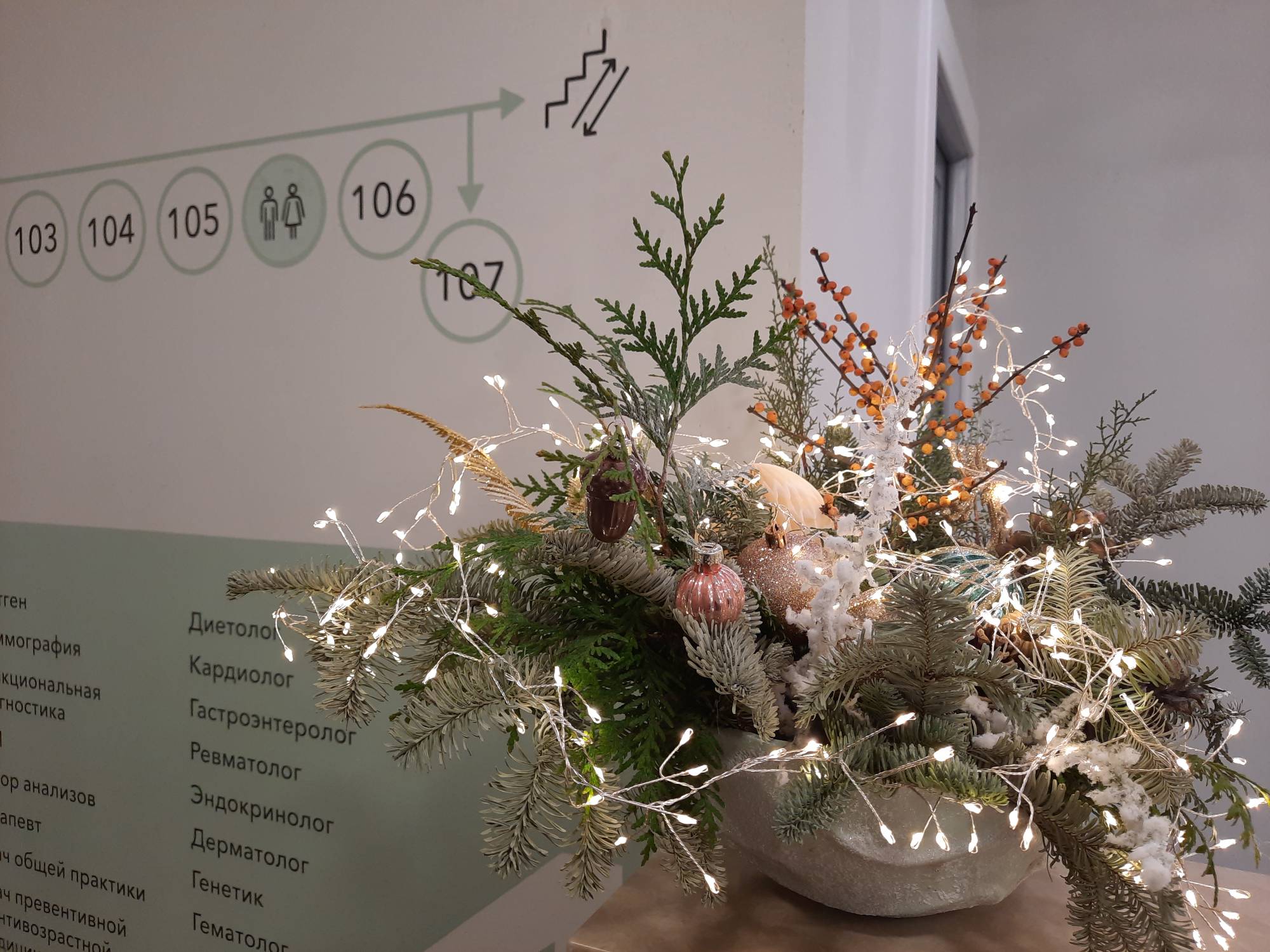 Режим работы клиник EMS в новогодние праздники 2023